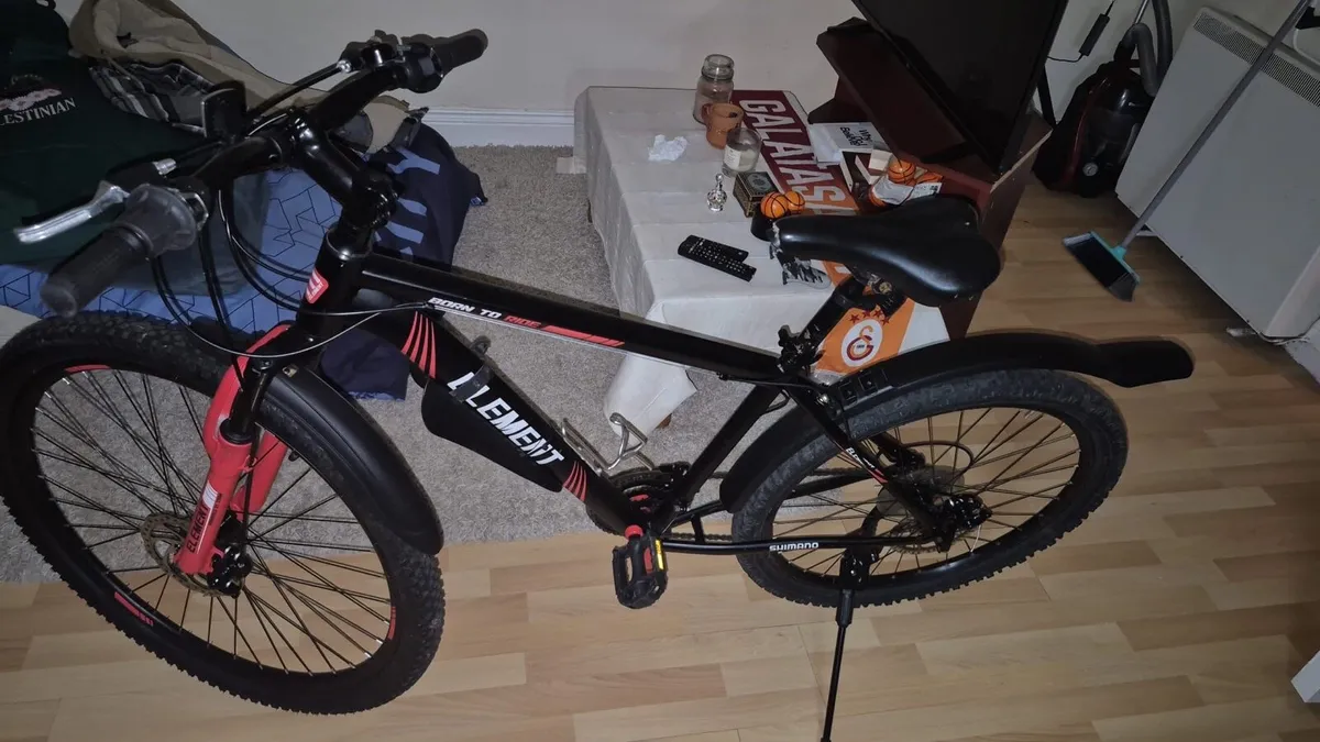 Mountain bike - Image 1