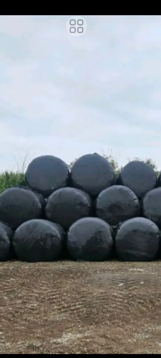 Haylage