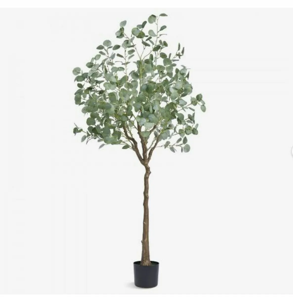 Artificial Eucalyptus Tree, 1.8 m Tall Faux Plant - Image 1