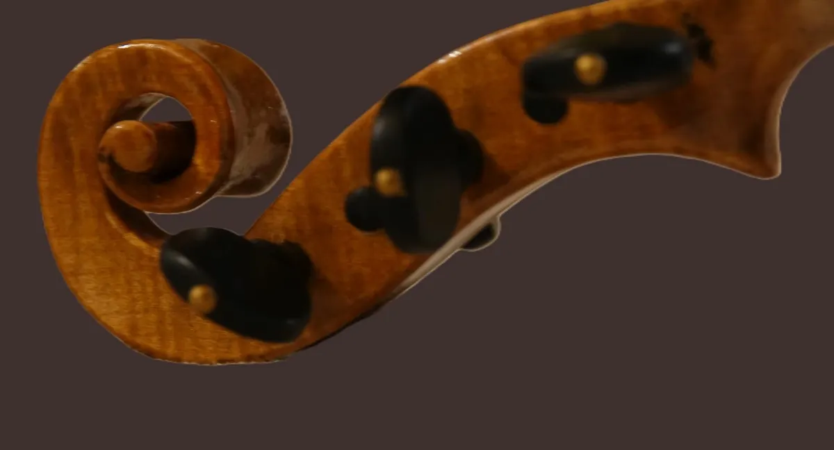 violin - Image 2