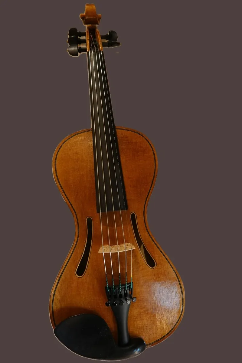 violin - Image 3