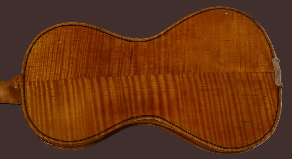 violin - Image 4