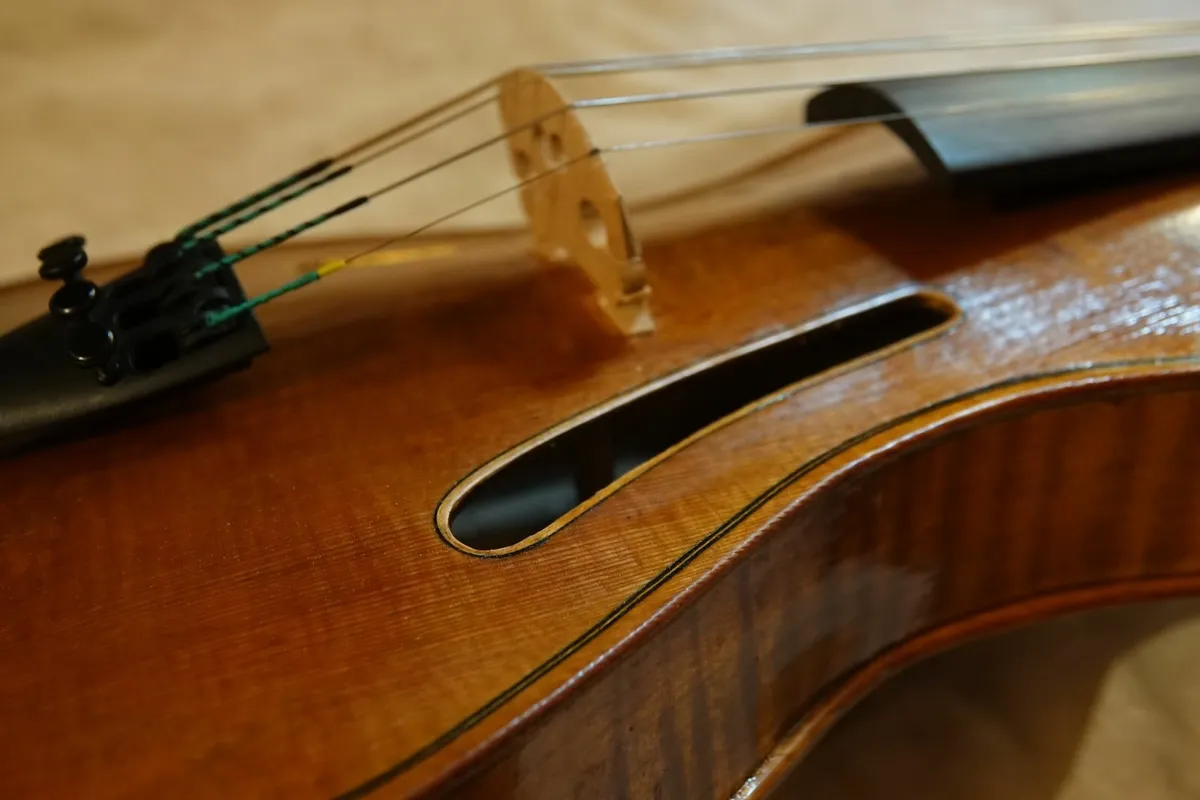 violin - Image 1