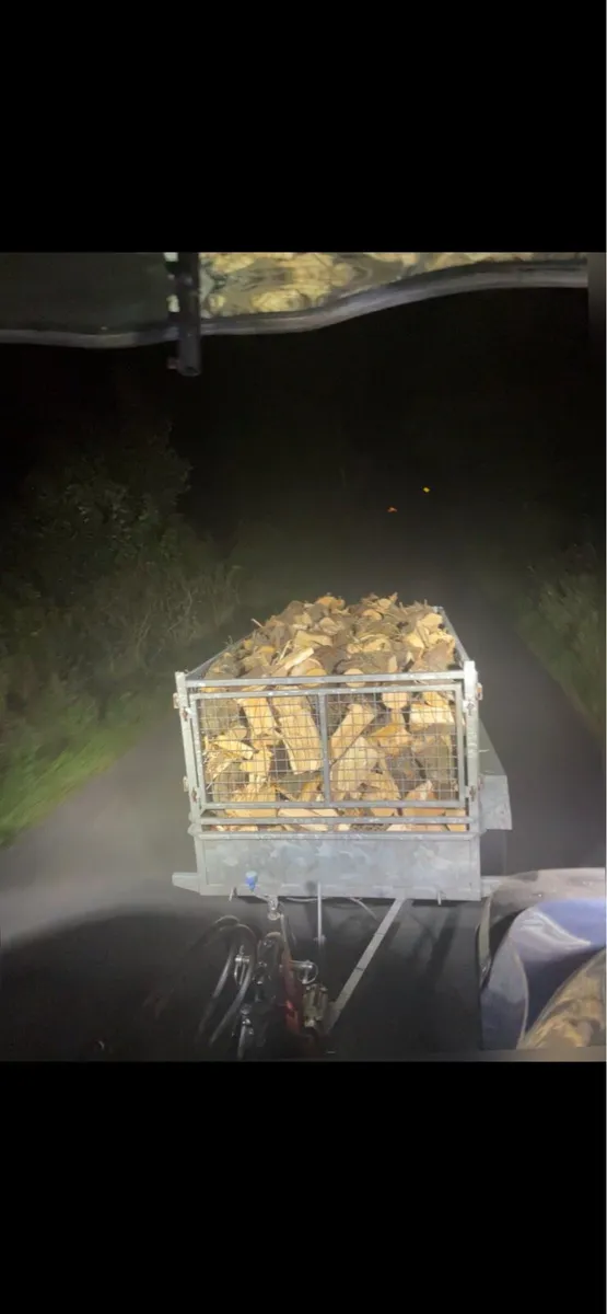Firewood - Image 1
