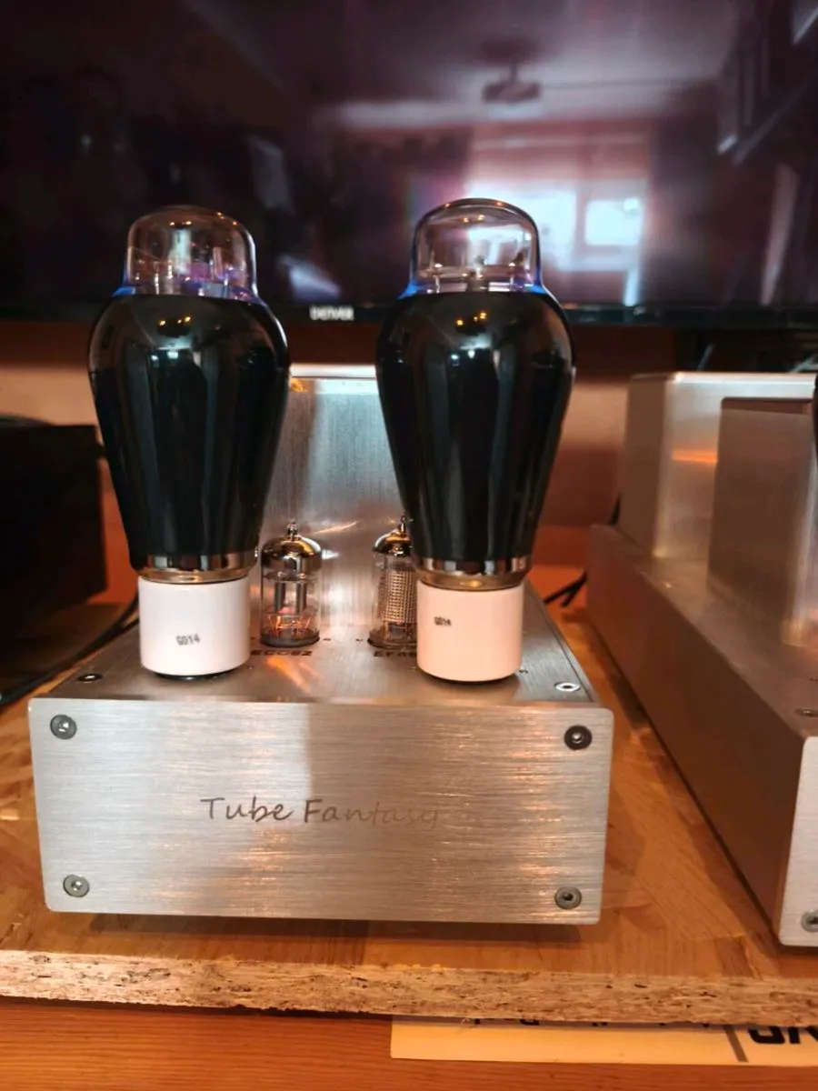 300B Monoblock tube amps - Image 1