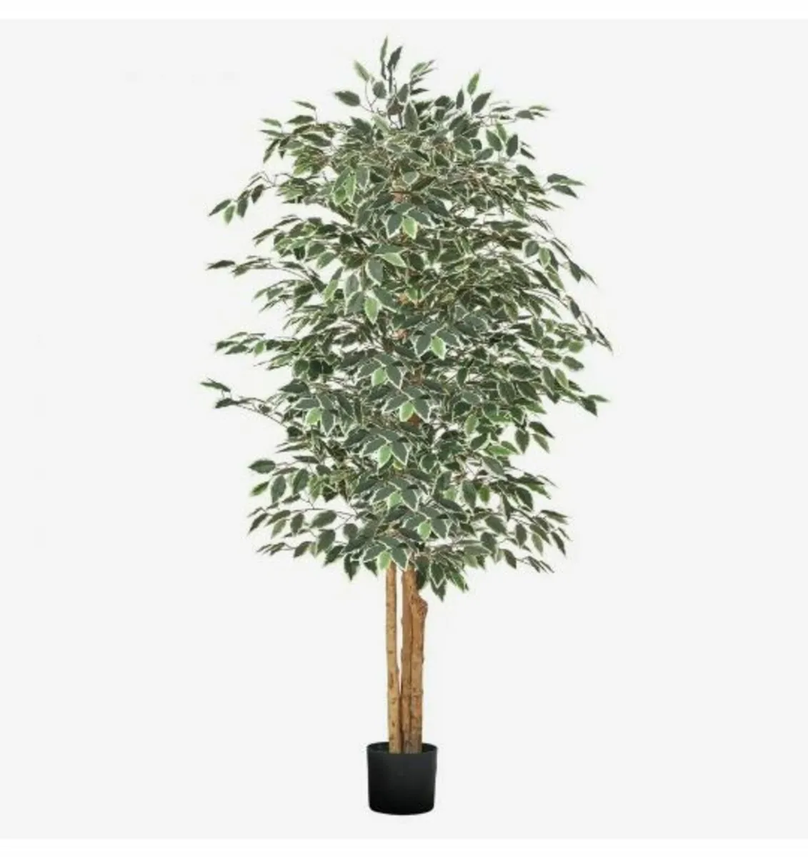 180cm Artificial Ficus Tree - Image 1