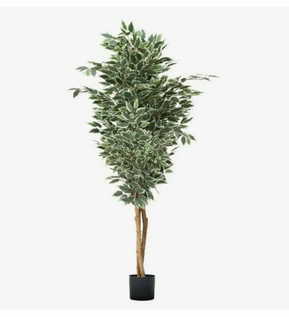 180cm Artificial Ficus Tree - Image 2