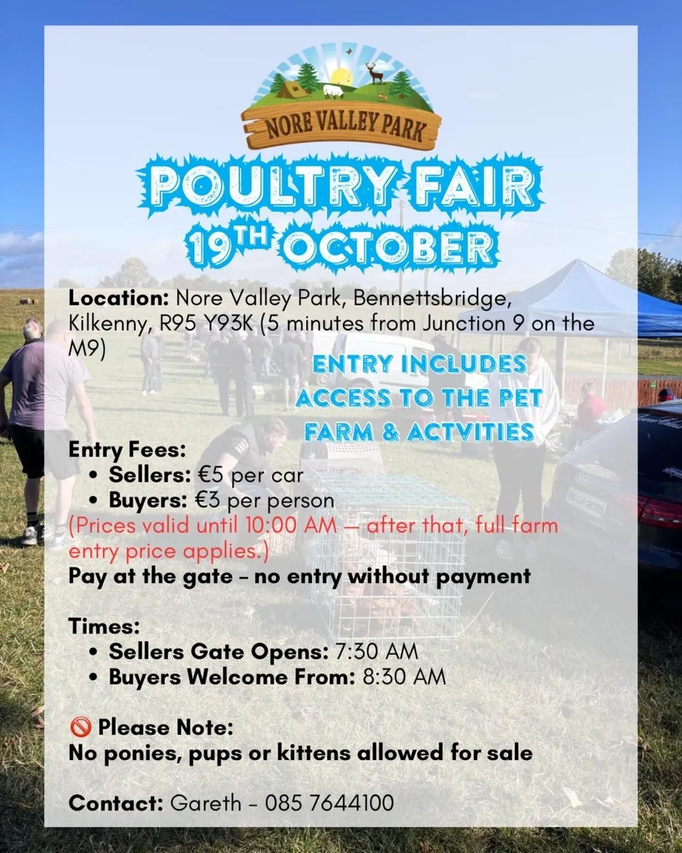 Kilkenny Poultry fair