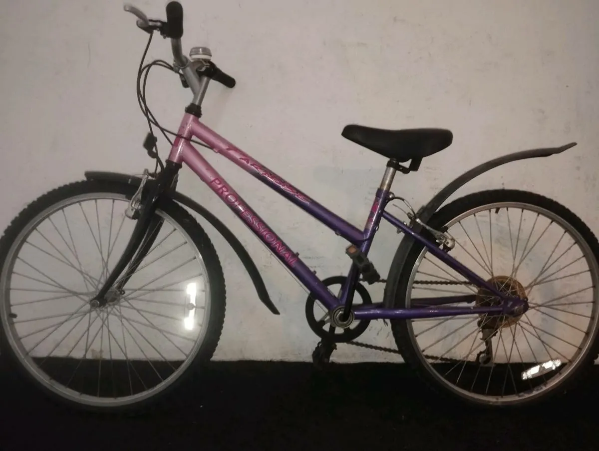 Girls 24inch bike - Image 2