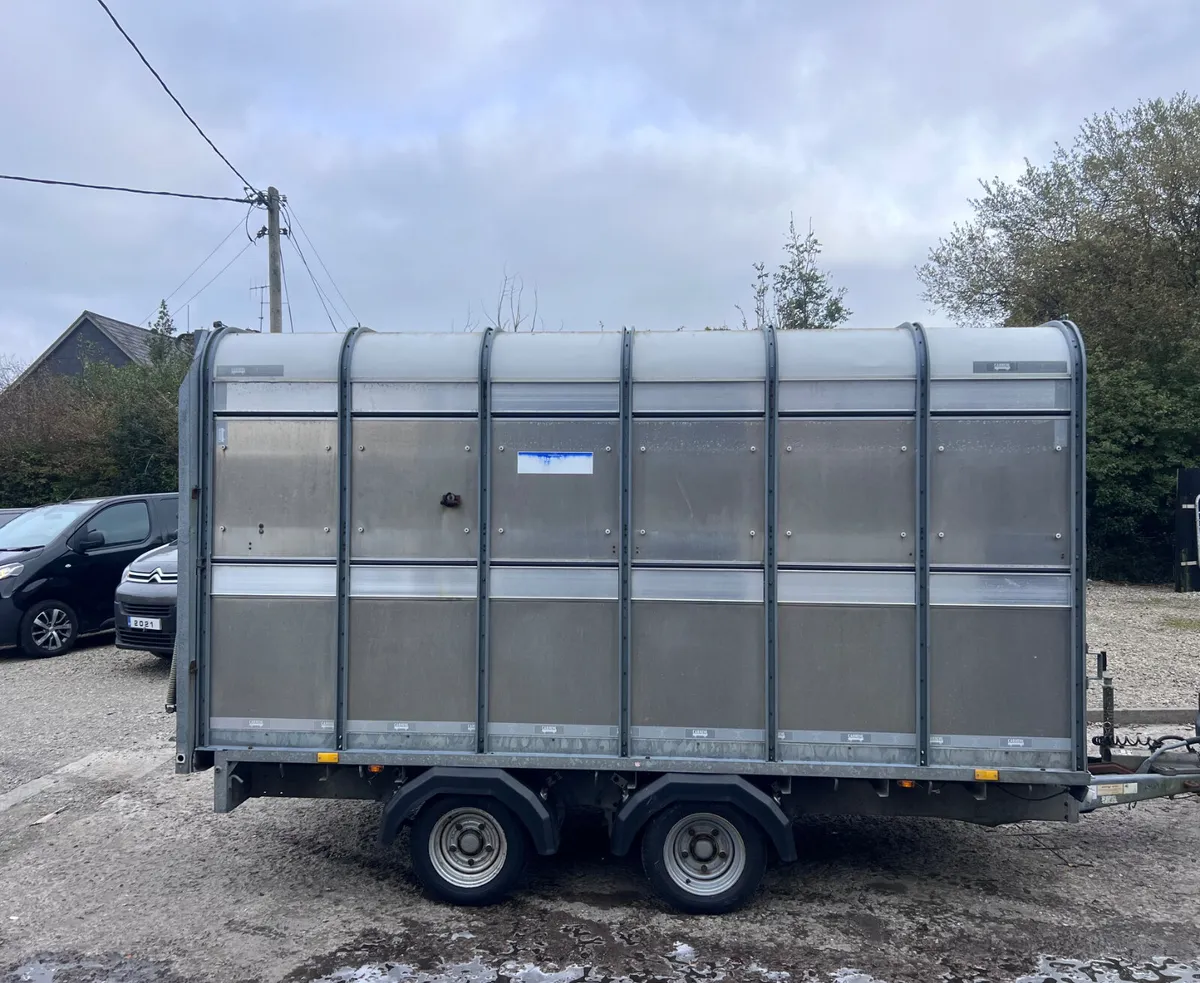 Cow box - Image 2