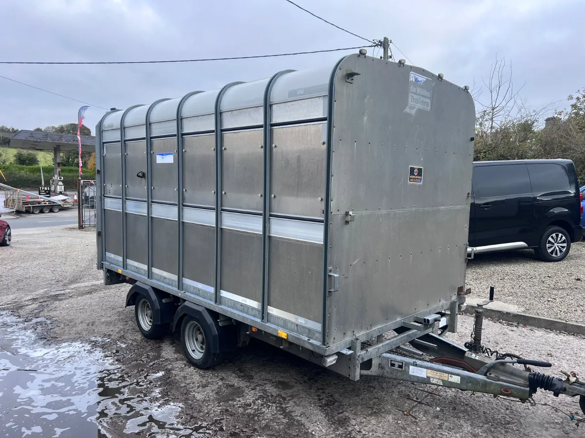 Cow box - Image 1