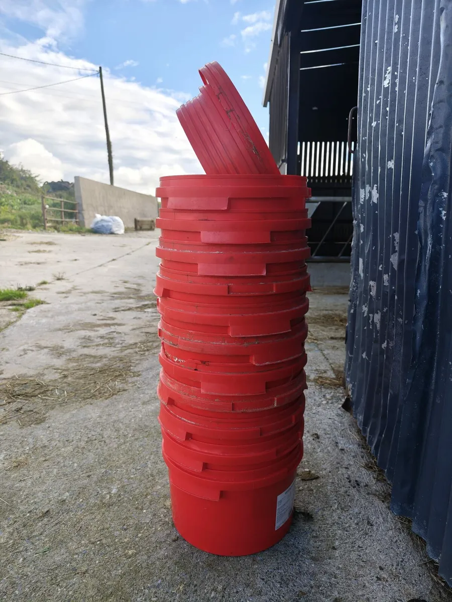 Buckets - Image 2