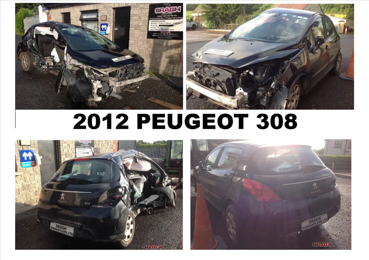 Peugeot 206/207/208/307/308/508 collection - Image 4