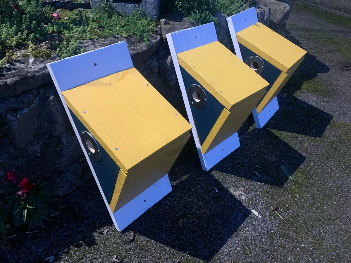 Bird Boxes - Image 1