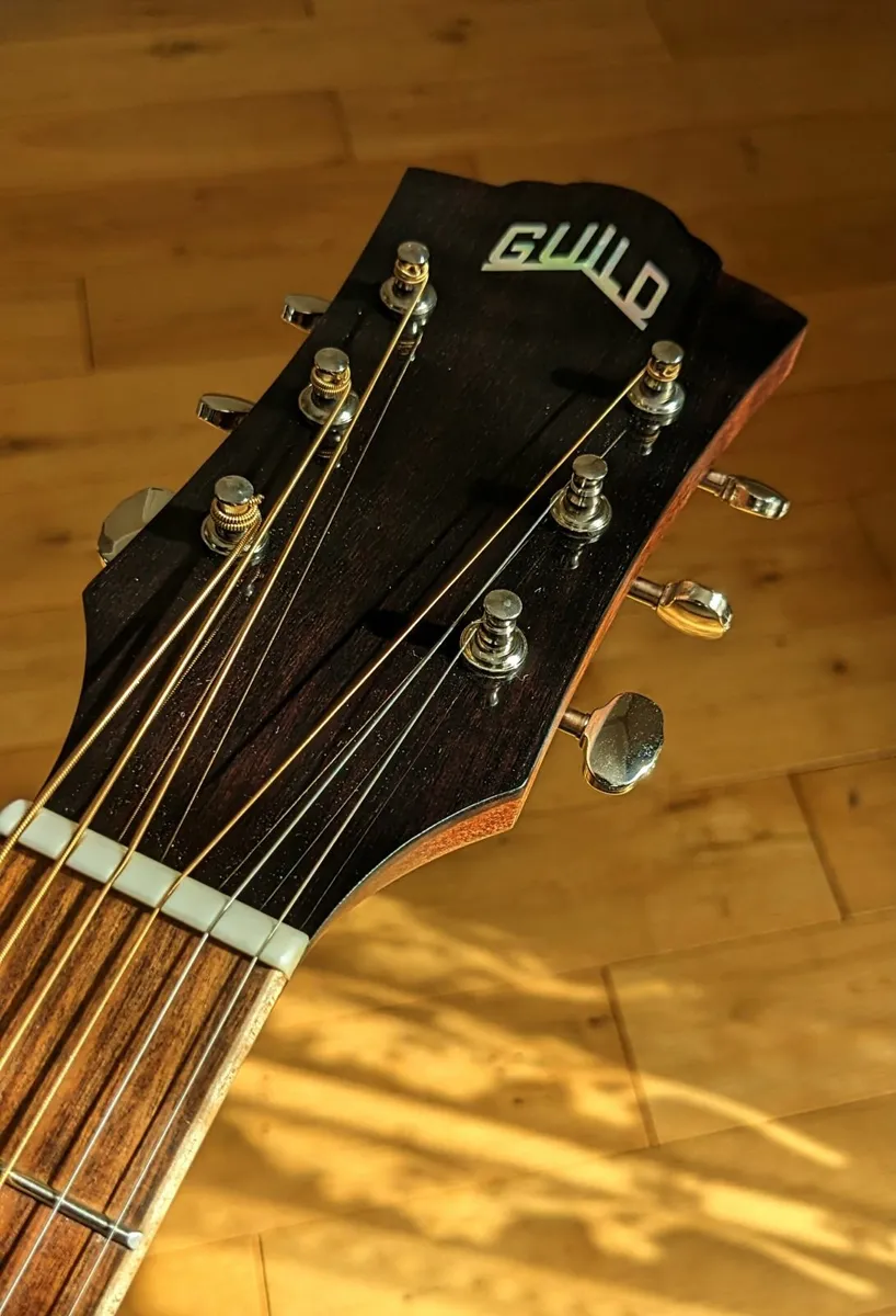 Guild acoustic-electric - Image 1