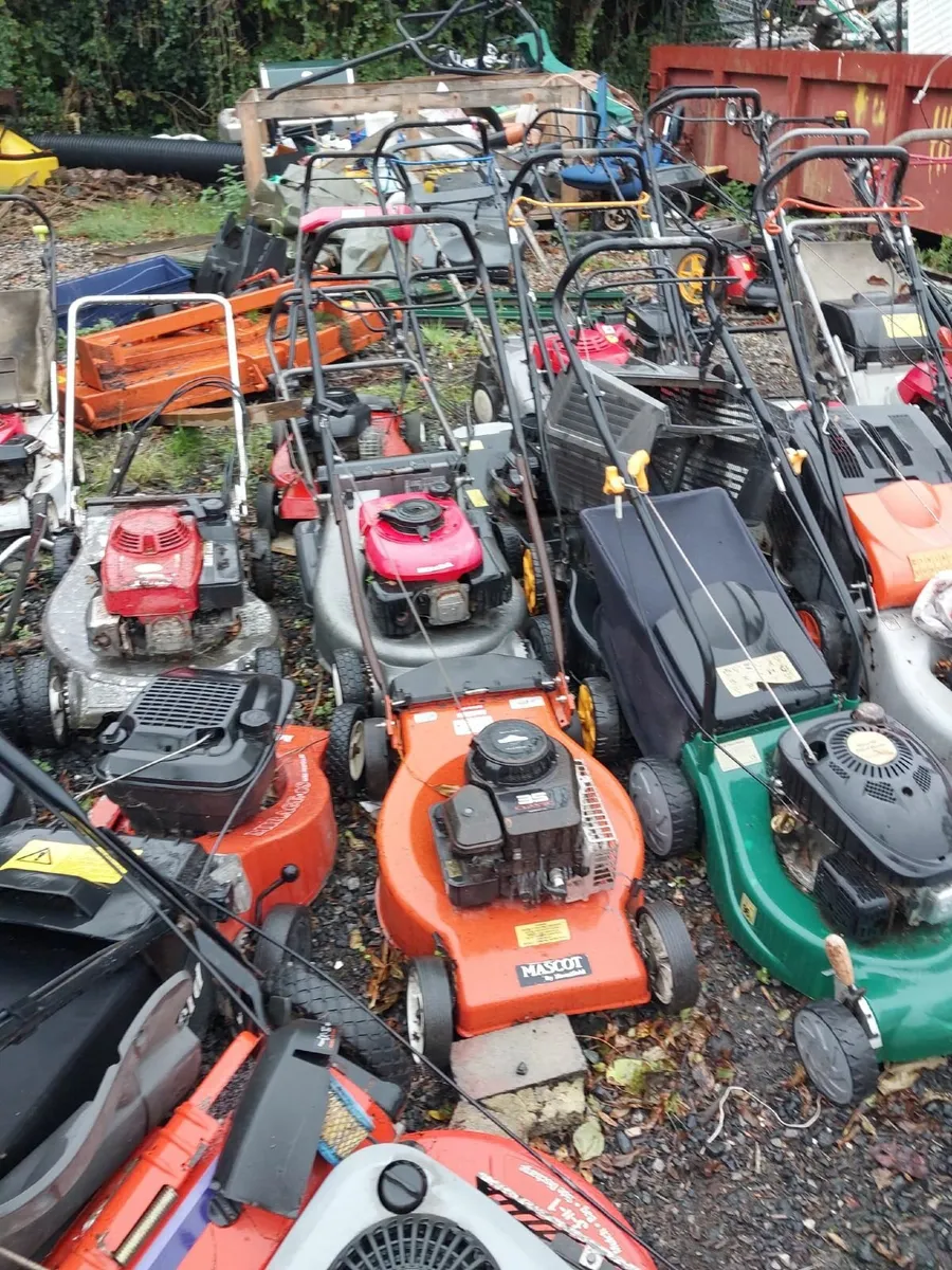 Mowers Ride on / Push - Image 1