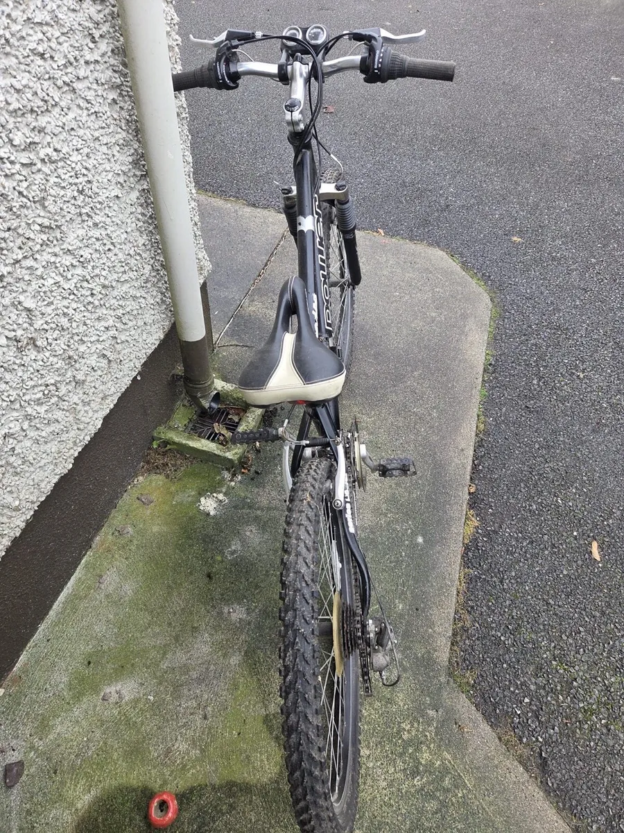 Bike for sale - Image 3