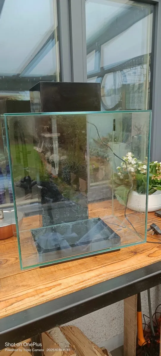Fish tank - Image 1