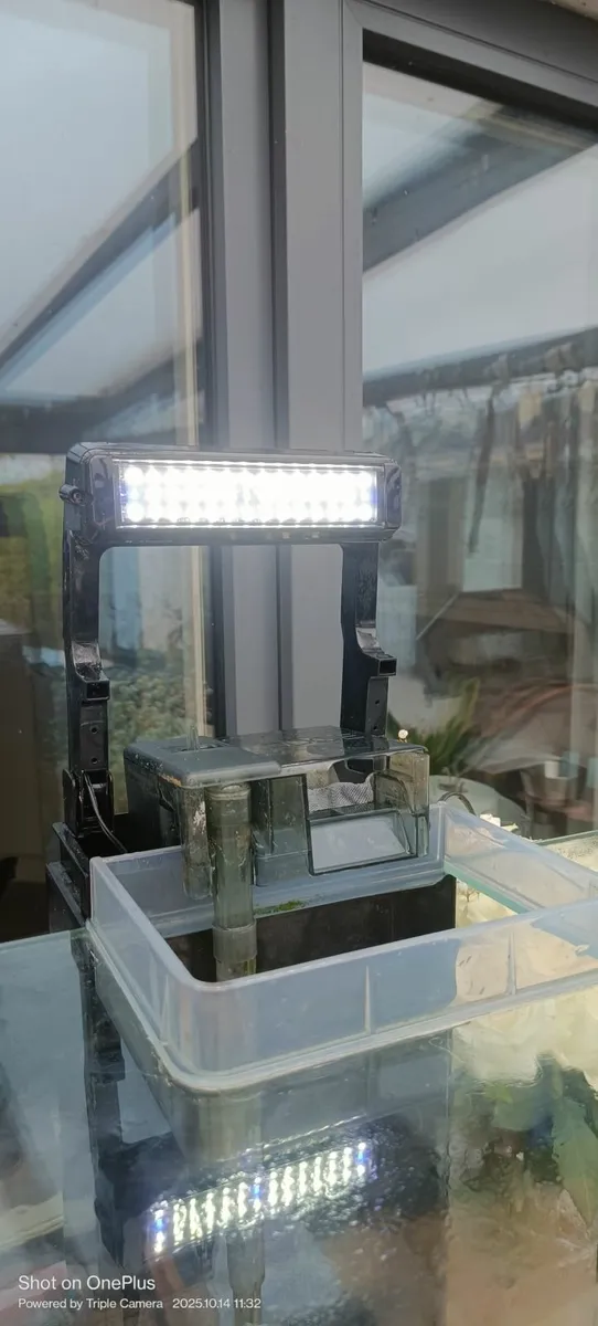 Fish tank - Image 3