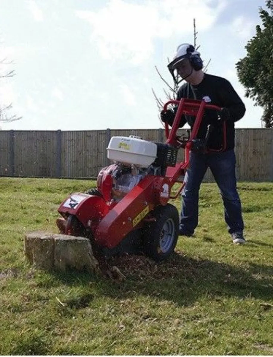 CAMON SG30 Stump Grinder - Image 4