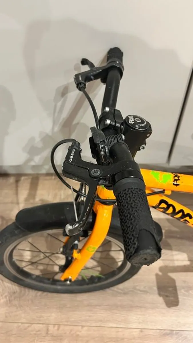 Frog Bike 48 - Image 3