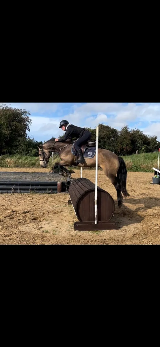 Pony - Image 4