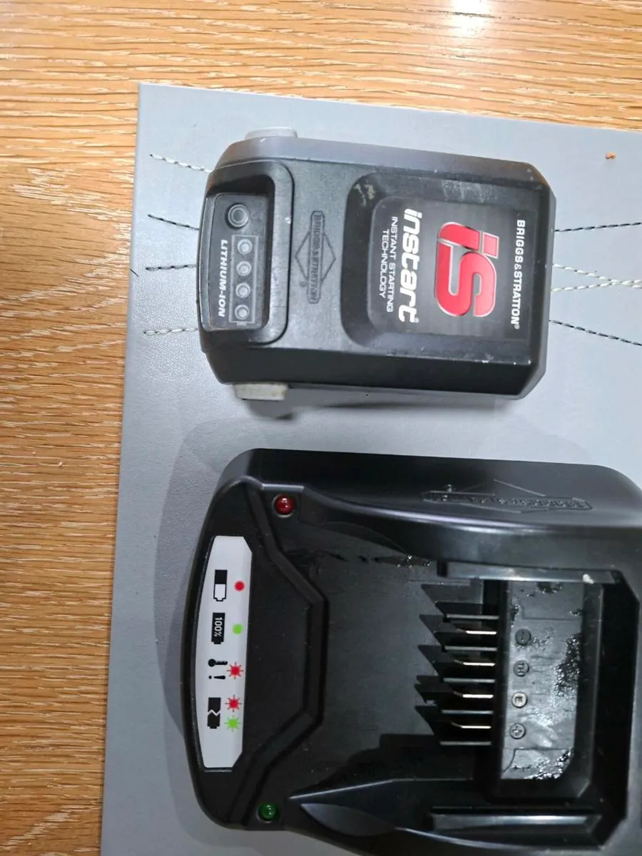 briggs and stratton  lawnmower  battery  charger - Image 2