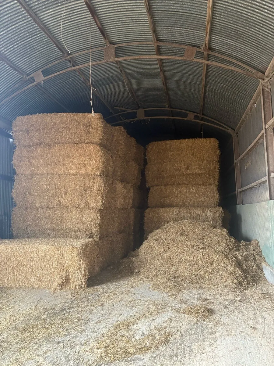 Quality chopped English wheat straw - Image 1