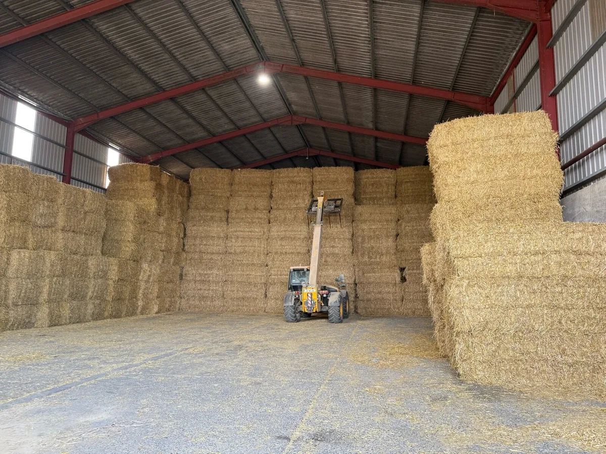 8X4x3 Chopped Wheat & Barley Straw