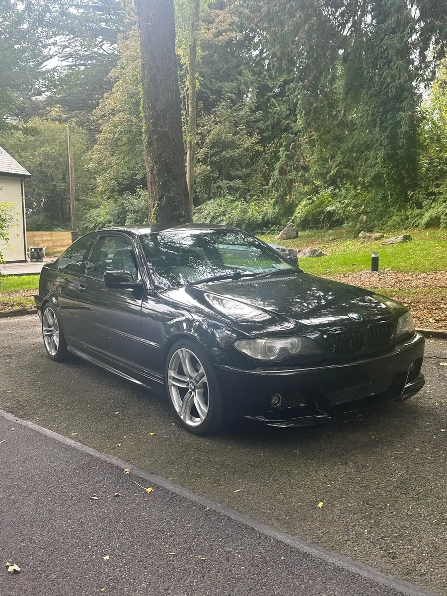 Bmw E46 MTM - Image 4