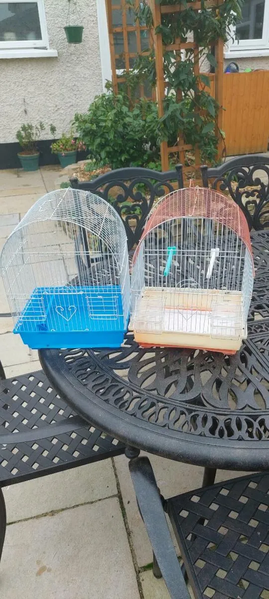 Bird cage - Image 1