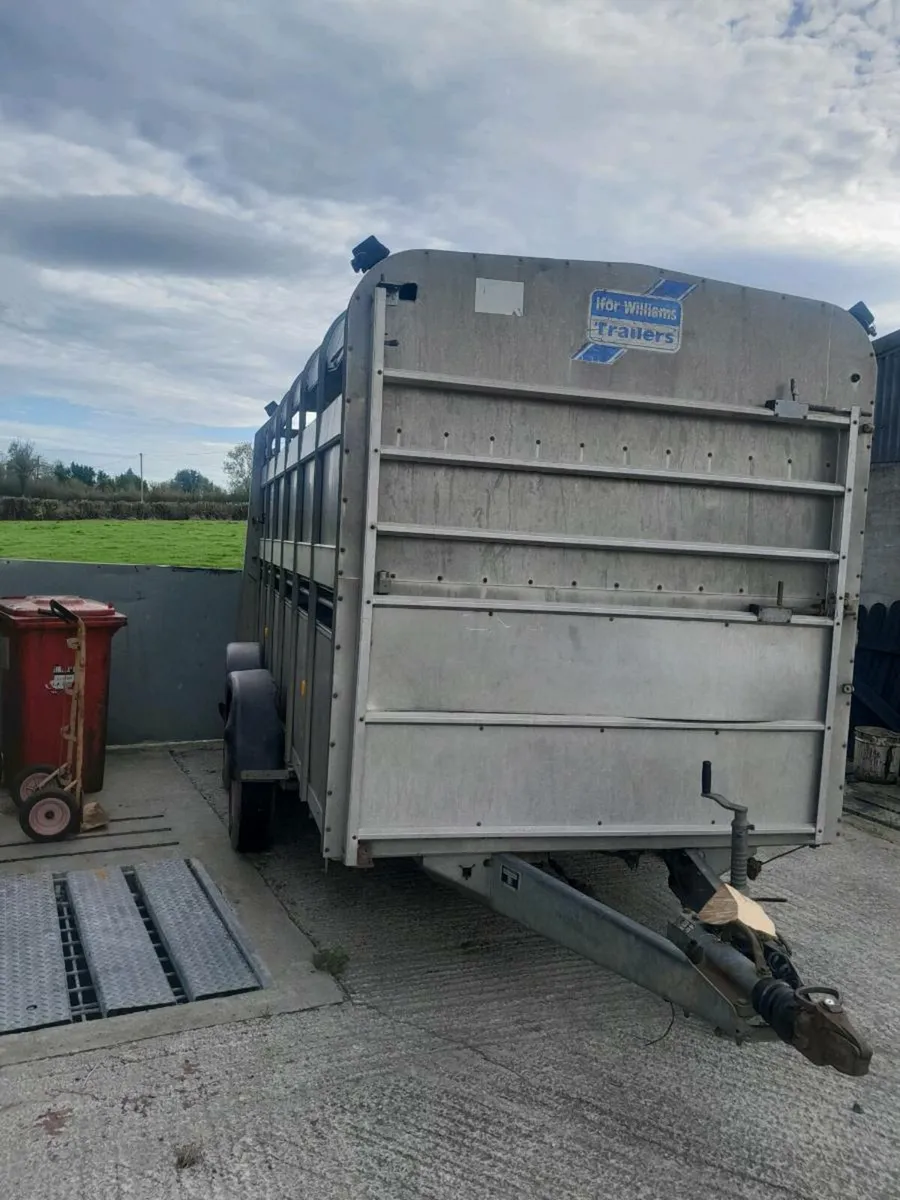 Ifor 12by6cattle trailer cal 0868782672 - Image 1