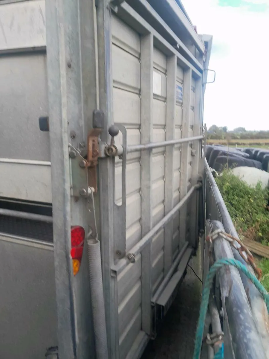 Ifor 12by6cattle trailer cal 0868782672 - Image 4