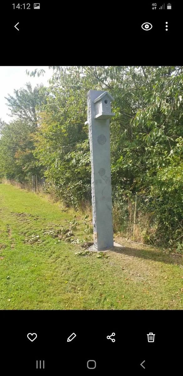Bird House - Image 2