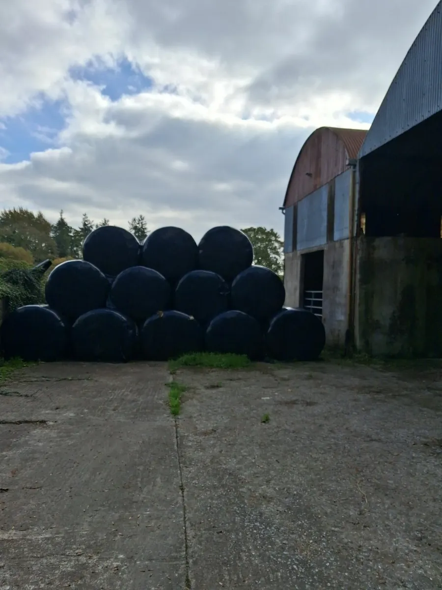 Silage bales