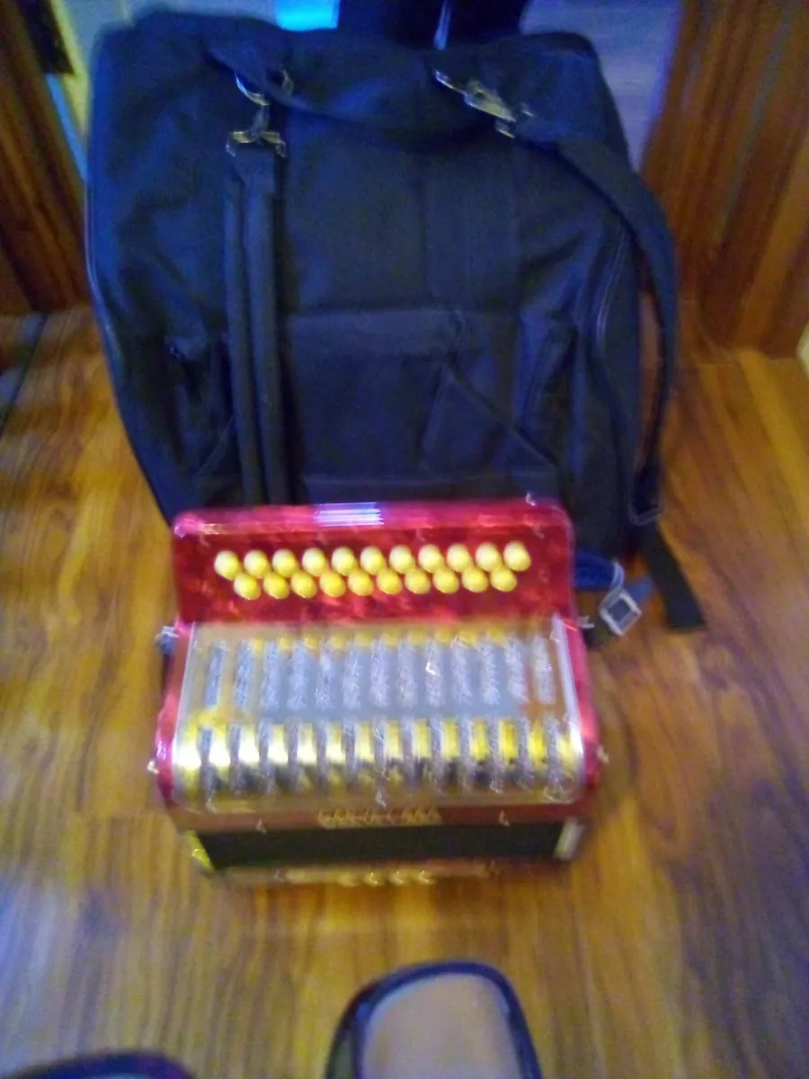 Garvey Accordian for sale in Castlebar Mayo - Image 2