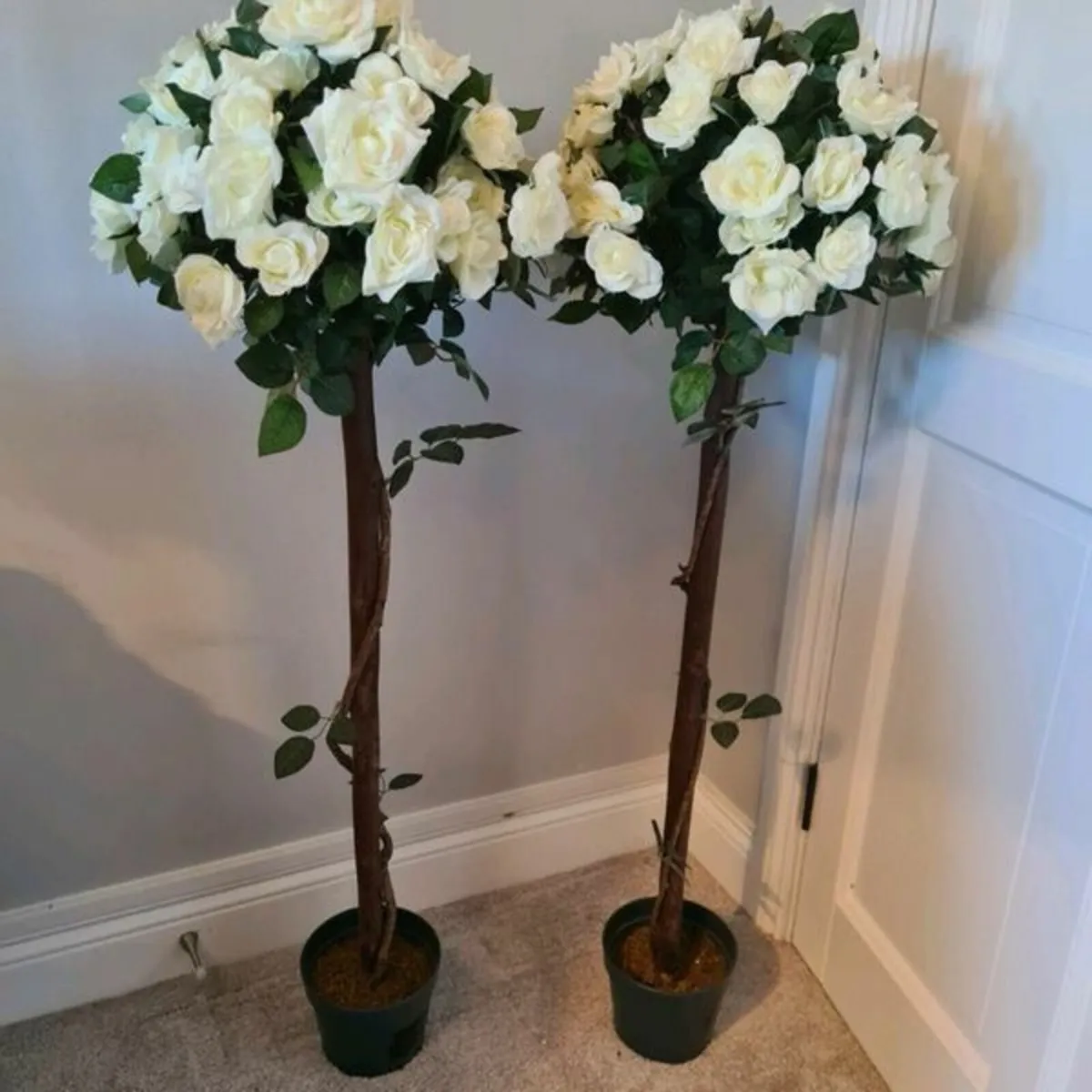 Two Rose Trees for Hire/Rent
