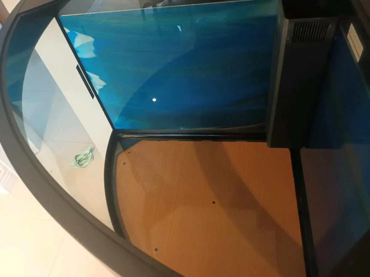 Fish Tank - Image 2