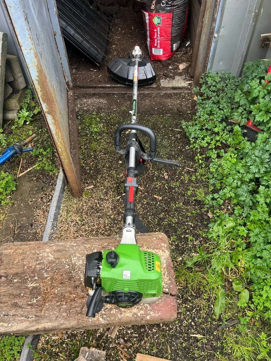 Strimmer - Image 1
