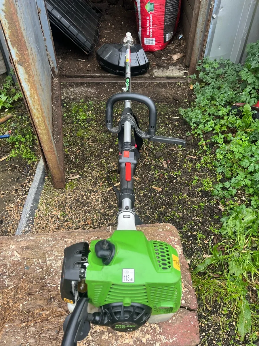 Strimmer - Image 3