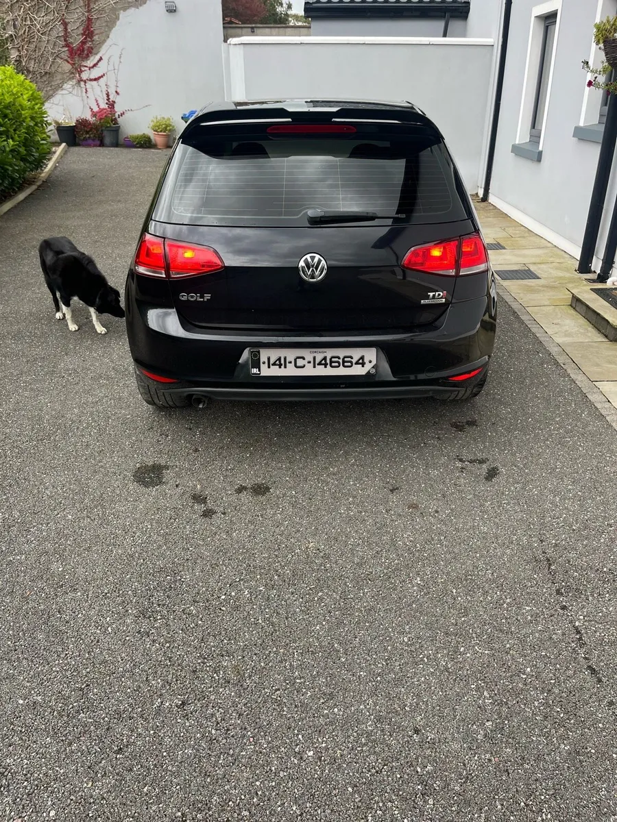 Golf Mk7 low mileage - Image 2