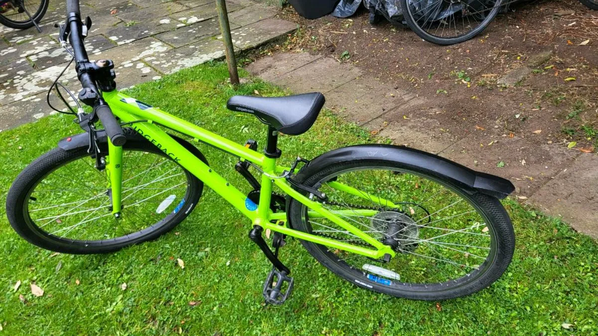 Ridgeback Bike - Image 2