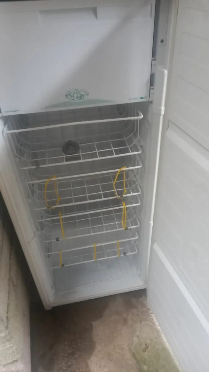 Fridge and Freezer - Image 1