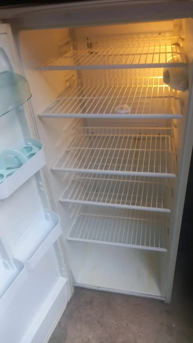 Fridge and Freezer - Image 4