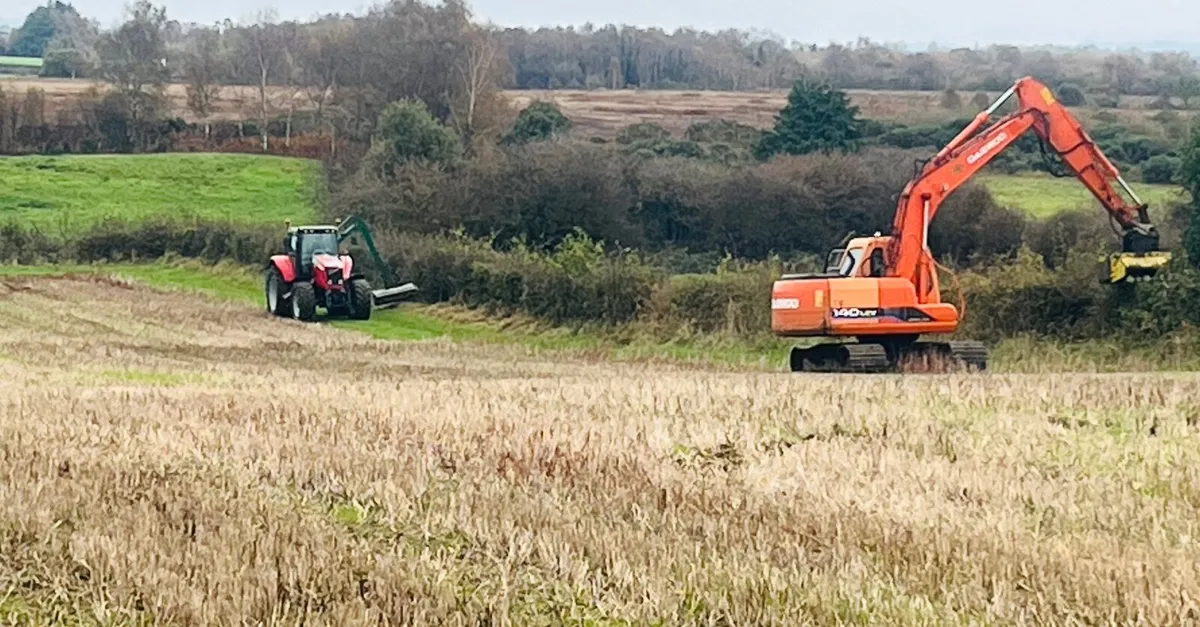Hedgecutting & mulching&tree removal - Image 2