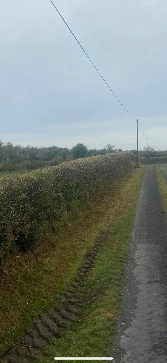 Hedgecutting & mulching&tree removal - Image 4