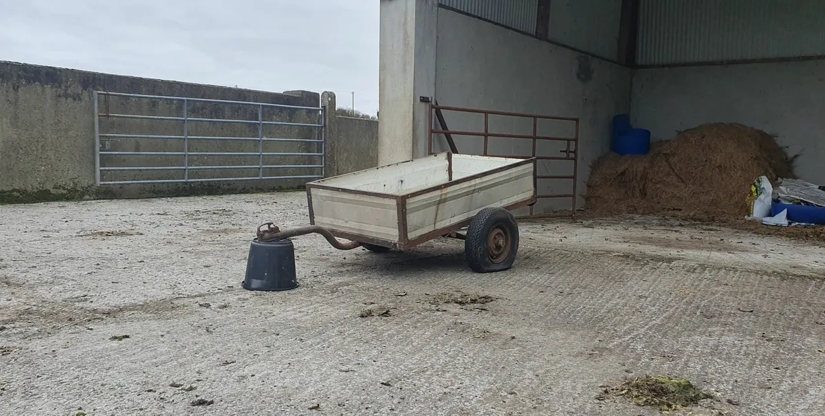 Small trailer - Image 2