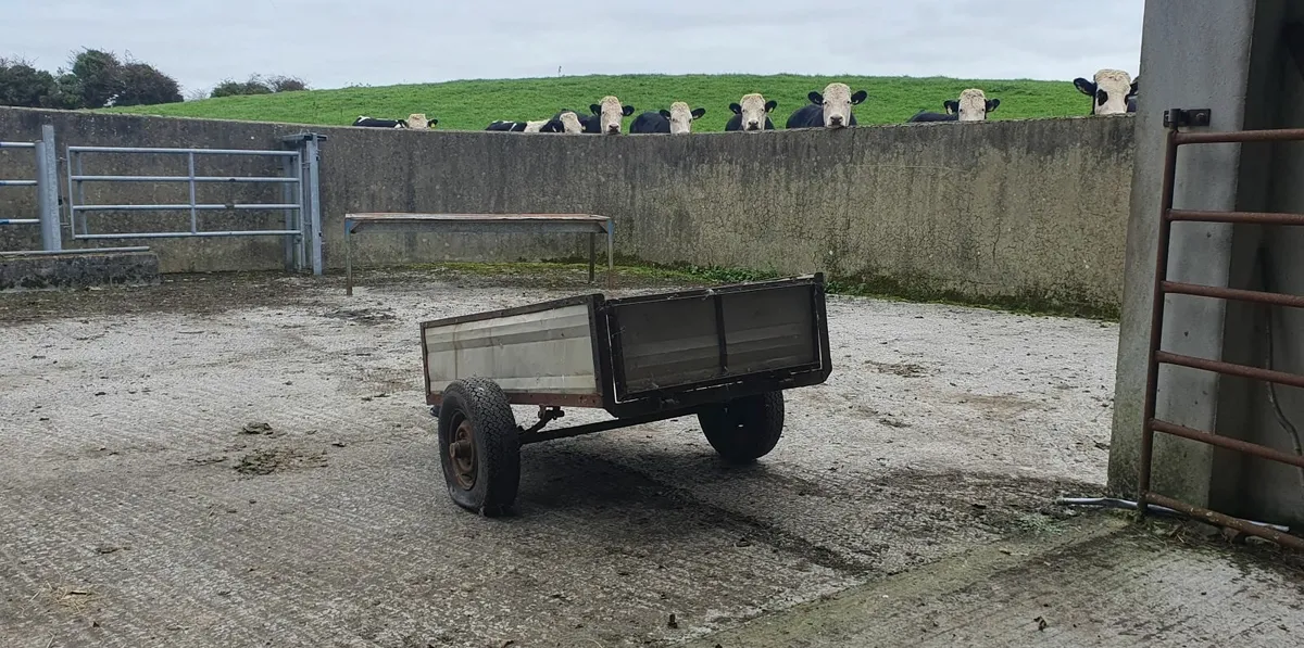 Small trailer - Image 3