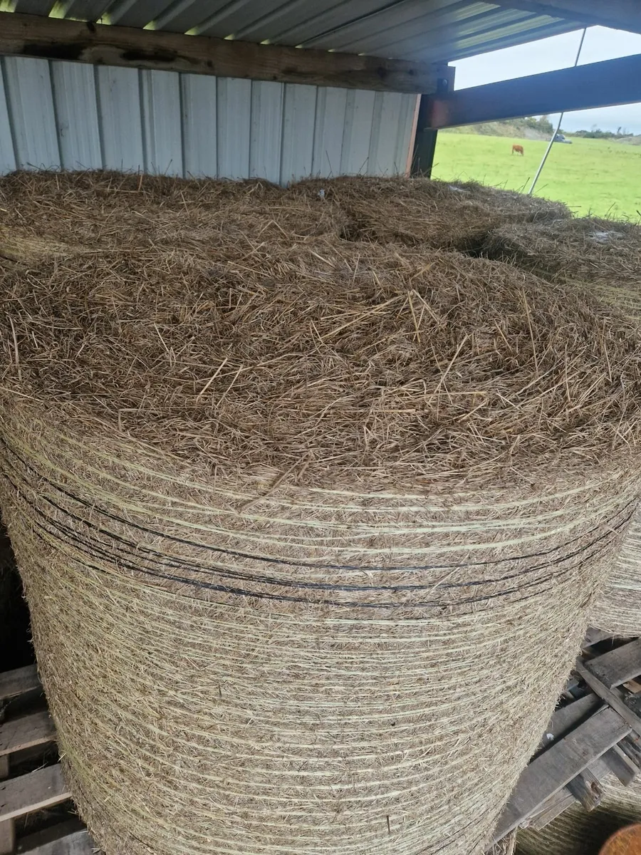 Hay can be delivered - Image 1