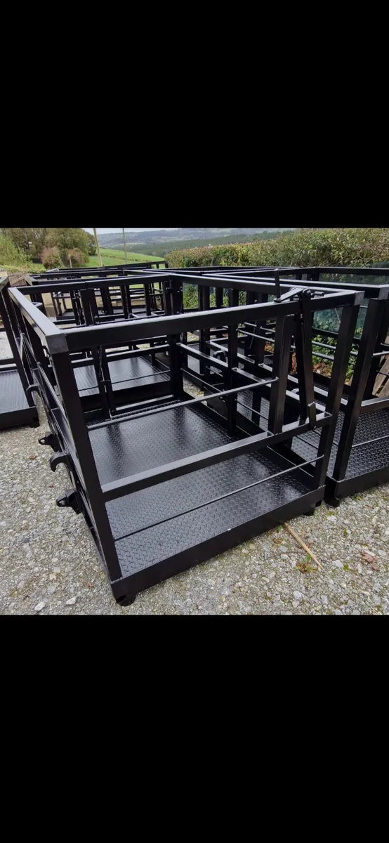 SAFETY CAGE / MAN BASKET - Image 3